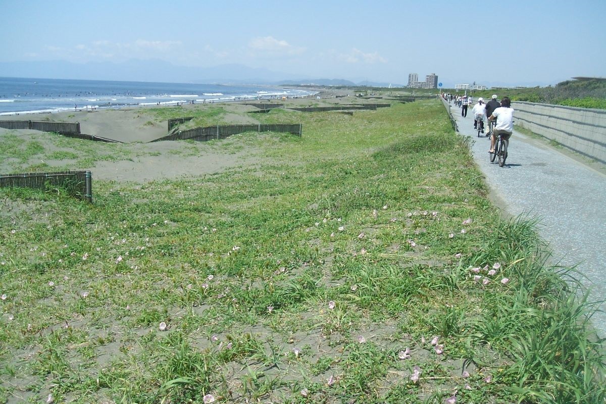 湘南海浜植物育成会