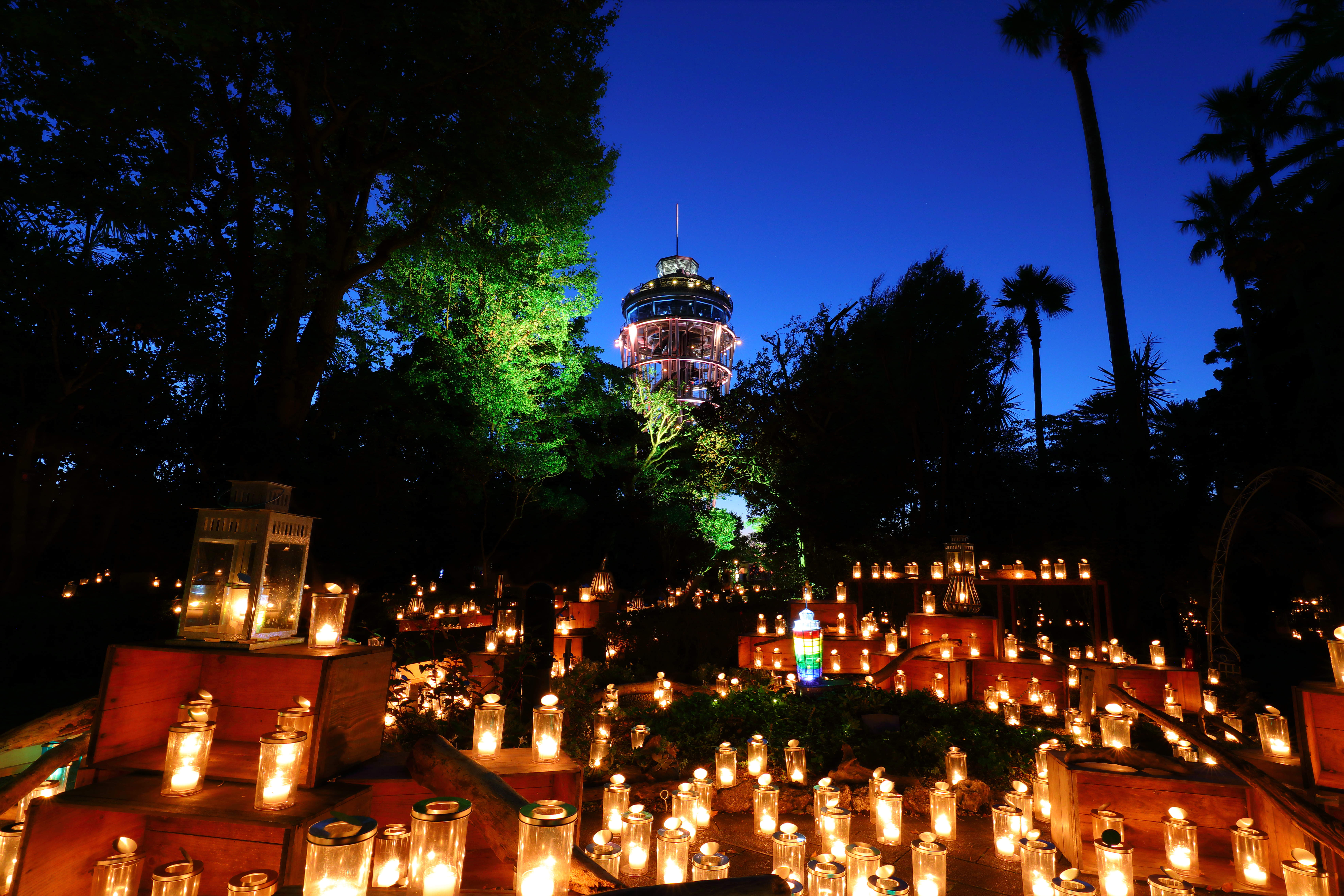 【湘南キャンドル2025】安全管理ボランティア