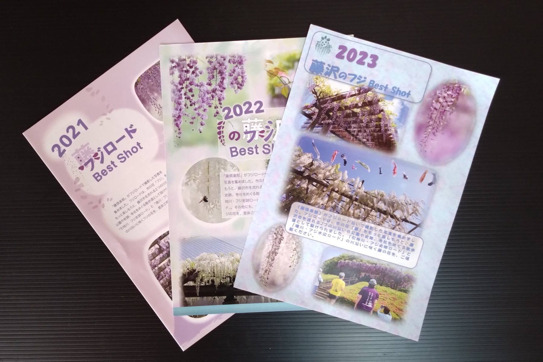 2025年藤ベストショットチラシのレイアウト作業